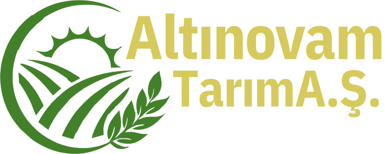 Altın Ovam